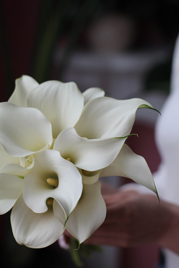 Букет невесты из калл