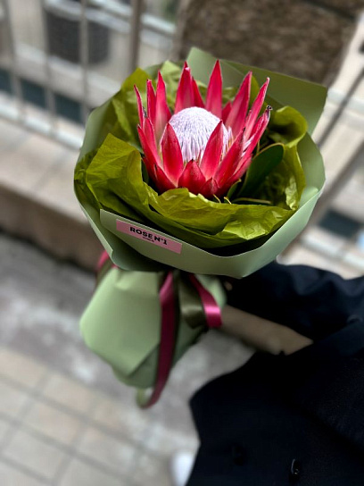 Монобукет с Протеей