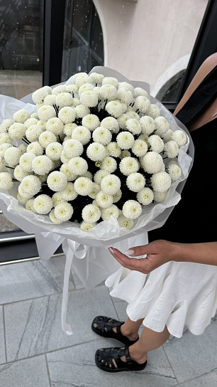 Монобукет из кустовой хризантемы сорта "Ньютон" XXL