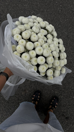 Монобукет из кустовой хризантемы сорта "Ньютон" XXL