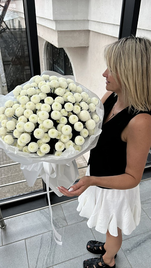 Монобукет из кустовой хризантемы сорта "Ньютон" XXL