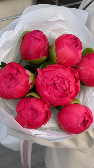 Монобукет из пионов Корал Шарм 