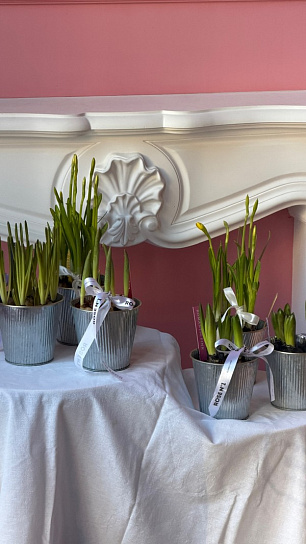 Луковичный микс весенних первоцветов