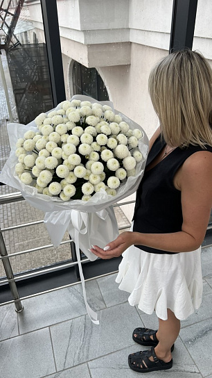 Монобукет из кустовой хризантемы сорта "Ньютон" XXL