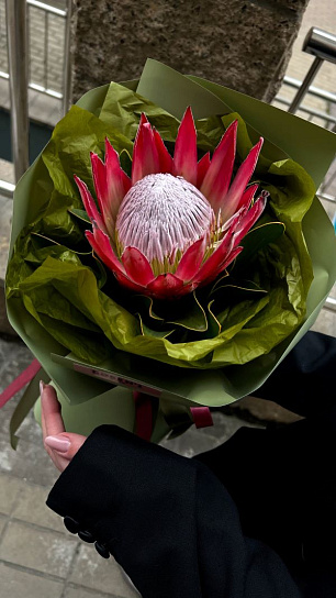 Монобукет с Протеей