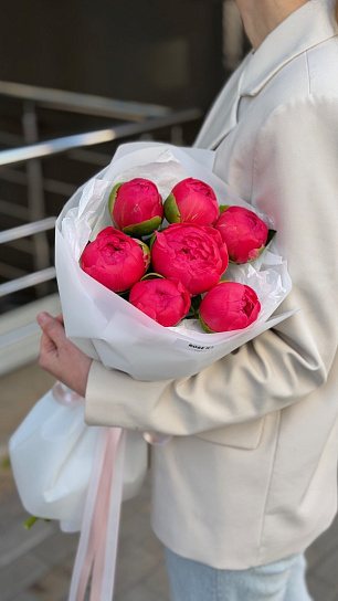 Монобукет из пионов Корал Шарм 