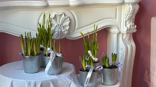 Луковичный микс весенних первоцветов