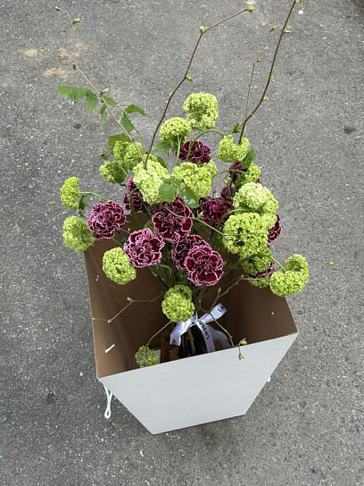 Букет "Вибурнум и диантусы"