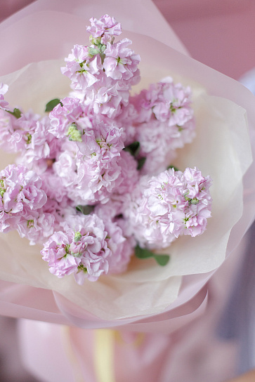 Монобукет с душистой маттиолой 