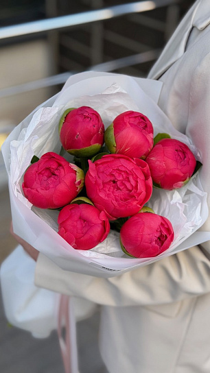 Монобукет из пионов Корал Шарм 